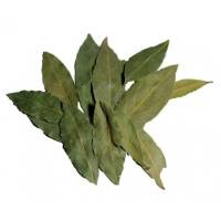 ESPECIAS LAUREL HOJA