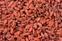 BAYAS DE GOJI